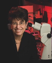  Cheryl F. Dreyfus, PhD