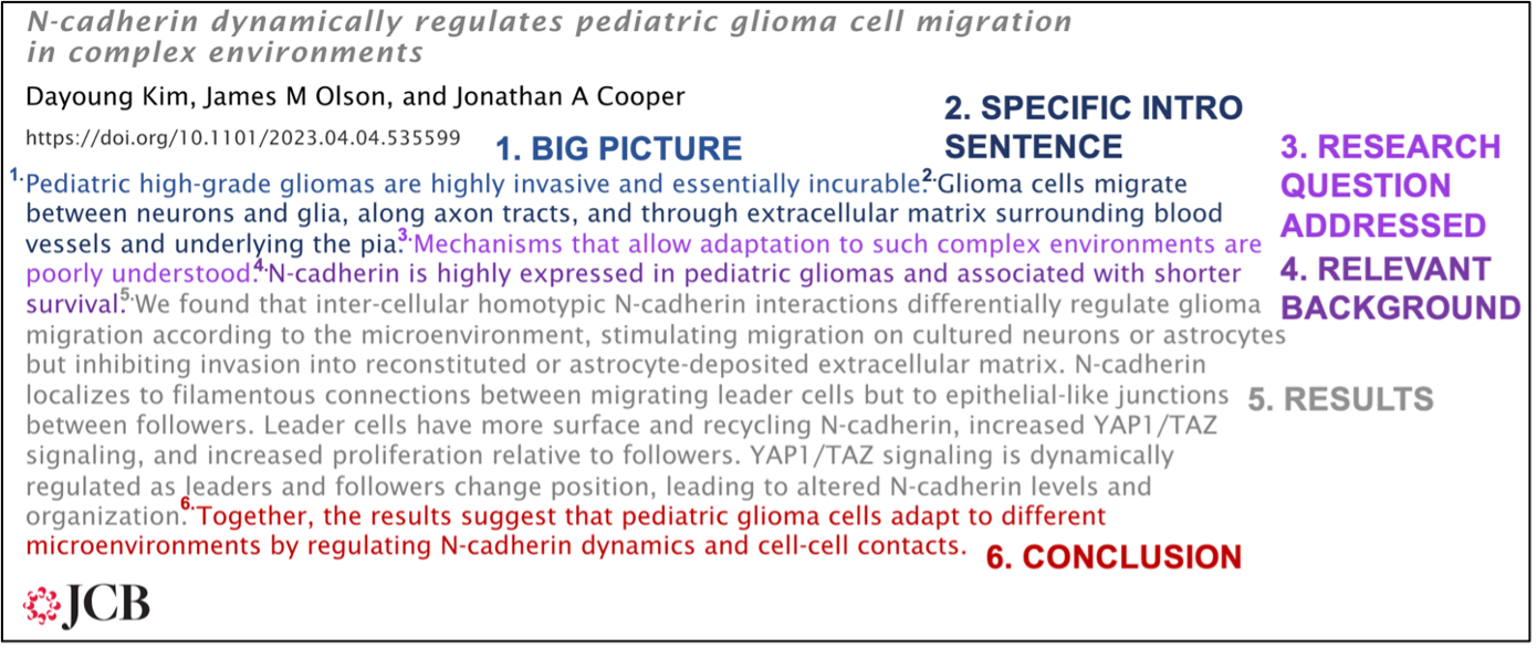 Whether you are a novice or expert in the field, the take-home message is clear: N-cadherin is highly involved in pediatric high-grade glioma migration and adaptation to environments.