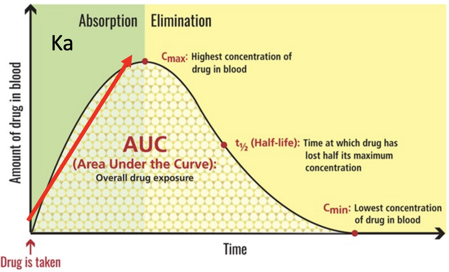 Pharmacokinetics of drugs